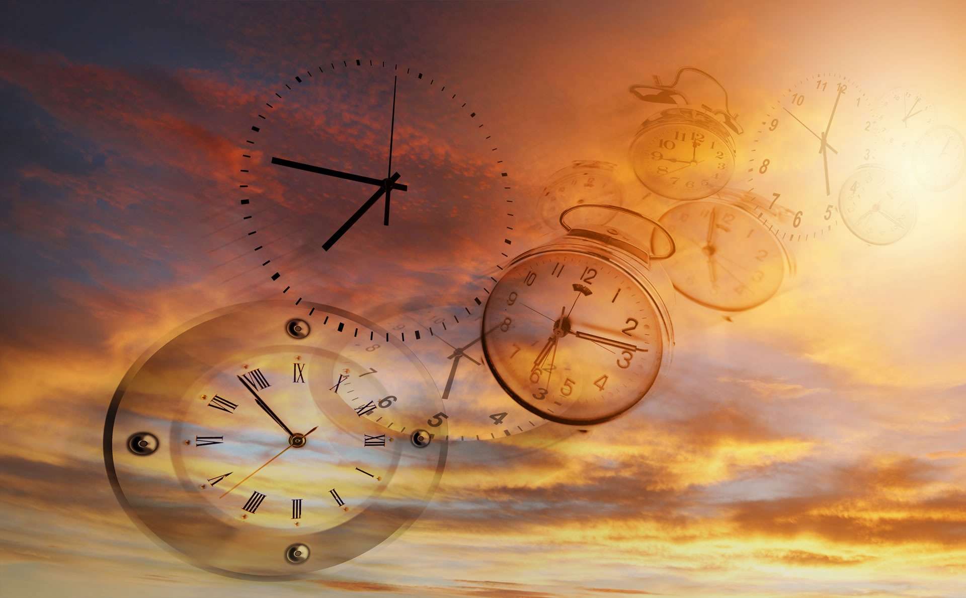 株式会社アリアス