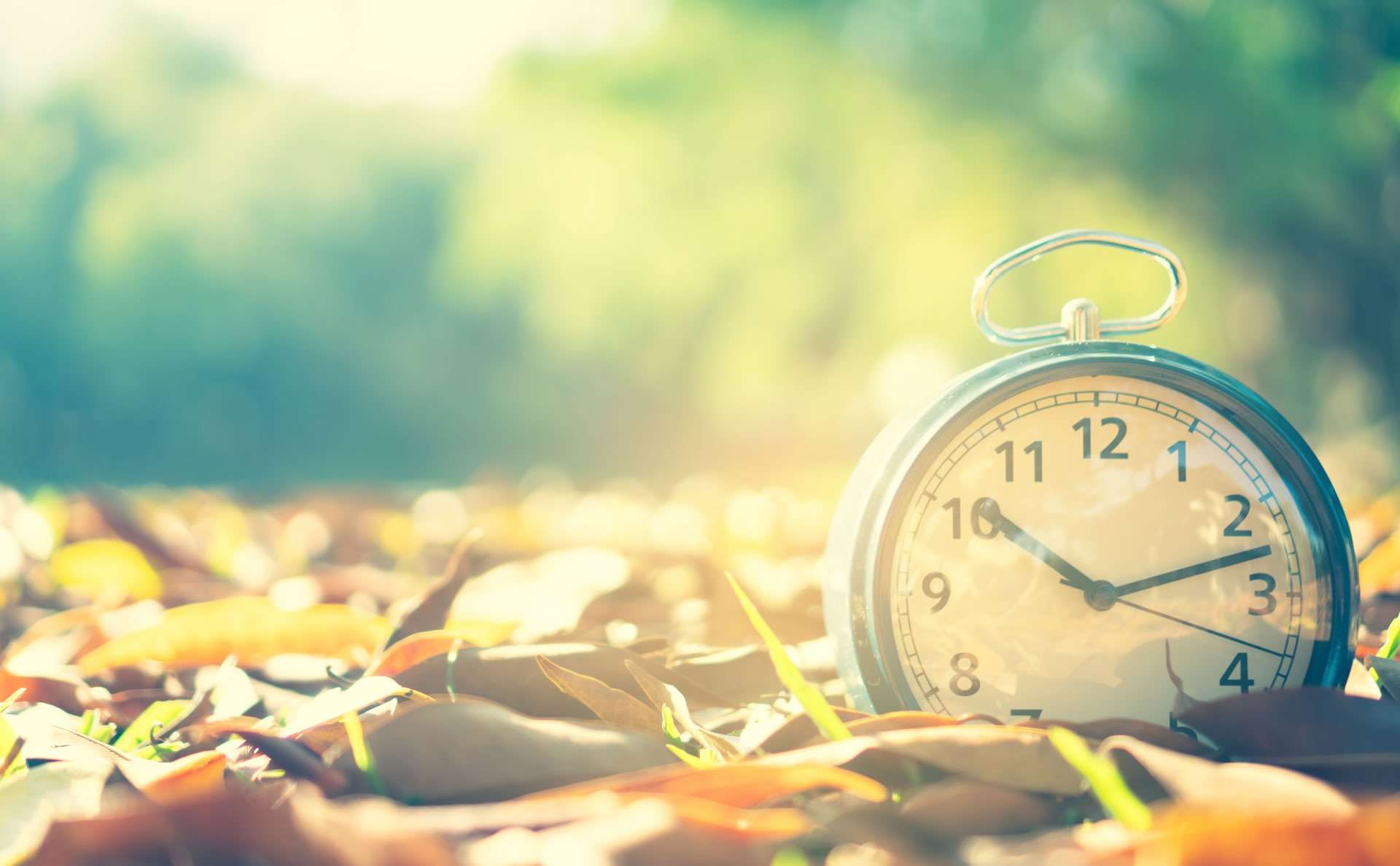 株式会社アリアス